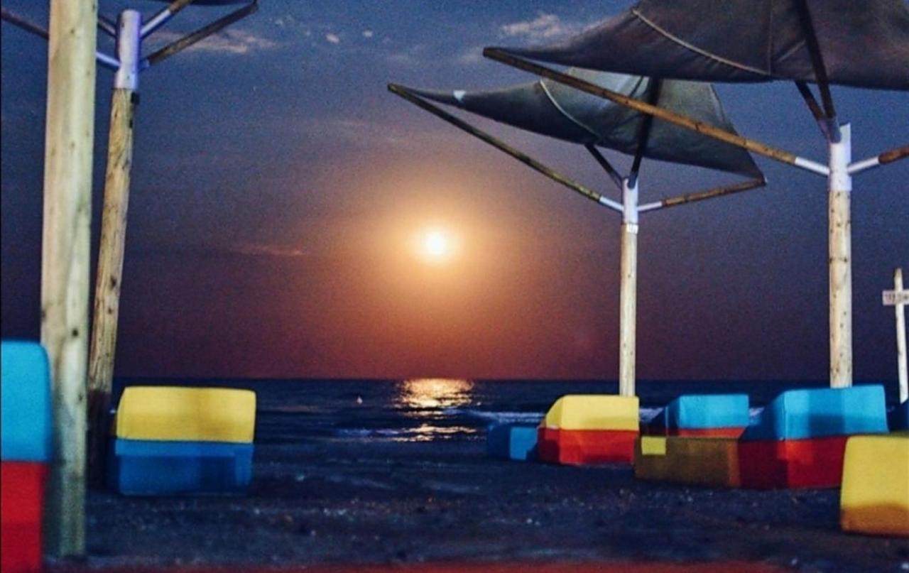 Yvo Lioness & Mamaia Nord Apartamento Năvodari Exterior foto