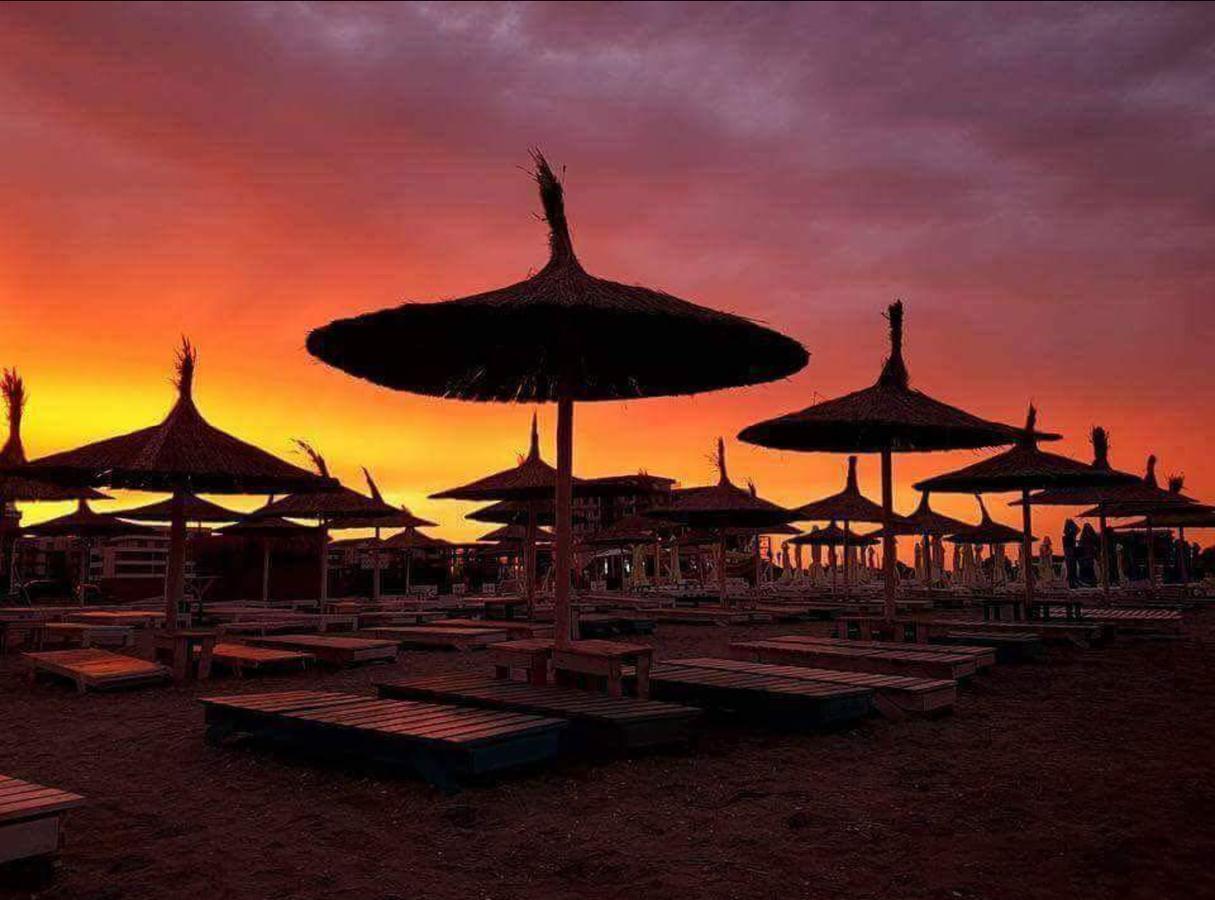 Yvo Lioness & Mamaia Nord Apartamento Năvodari Exterior foto